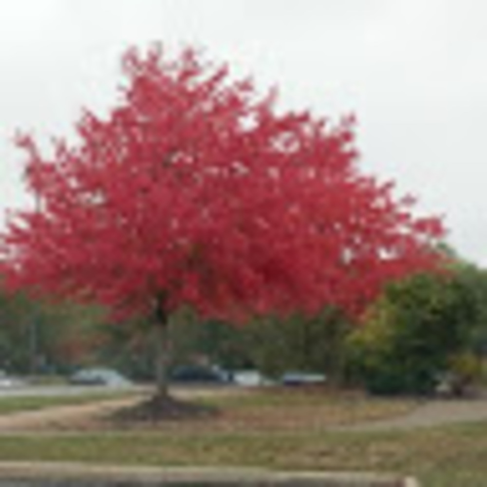 Meet your Posher, Kris